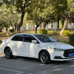BYD Qin 2020 из Китая