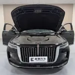 Hongqi Hongqi H9 2022 252 л.с. из Китая