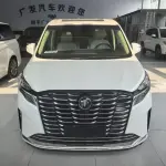 Buick GL8 2023 из Китая