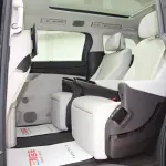 Denza Denza D9 2025 из Китая
