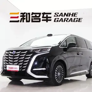 Denza Denza D9 2025 из Китая