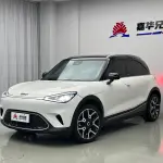 smart Smart #1 2023 из Китая