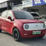 Ora Ora Black Cat 2020 из Китая