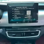 BYD MAX 2021 из Китая