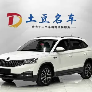Skoda Kamiq 2023 из Китая