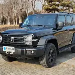 Tank Tank 300 2024 227 л.с. — лот 57539920 из Китая