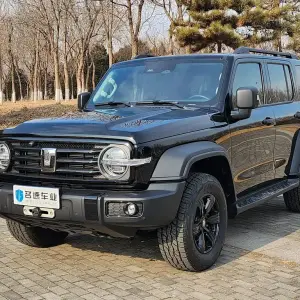 Tank Tank 300 2024 227 л.с. — лот 57539920 из Китая