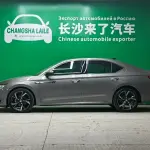 Skoda Octavia 2021 из Китая
