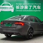 Skoda Octavia 2021 из Китая