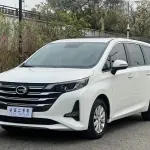 GAC Motor Trumpchi M6 2021 из Китая