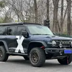 Tank Tank 300 2022 из Китая