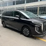 Hongqi Hongqi HQ9 PHEV 2024 из Китая