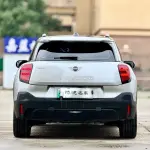 MINI MINI ACEMAN EV 2024 из Китая