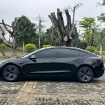 Tesla Model 3 2022 из Китая