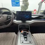 BYD Tang New Energy 2024 из Китая