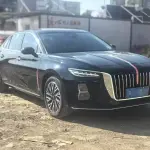 Hongqi Hongqi H5 2023 из Китая
