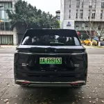 Hongqi Hongqi HS7 PHEV 2024 из Китая