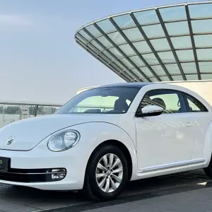 Volkswagen Beetle 2014 из Китая