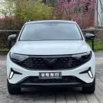 Jetta VS7 2024 из Китая