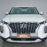 Hyundai Palisade 2020 из Китая