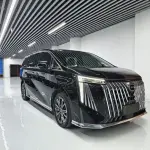GAC Motor Trumpchi M8 2023 из Китая