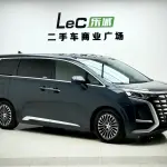 Denza Denza D9 2024 из Китая