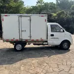 Ruichi Ruichi EC31 2023 из Китая