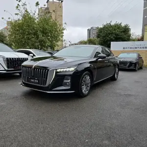 Hongqi Hongqi H5 2024 из Китая