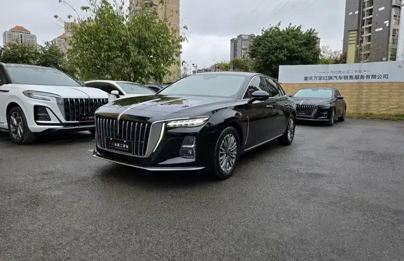 Hongqi Hongqi H5 2024 из Китая