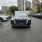 Hongqi Hongqi H5 2024 из Китая