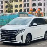 GAC Motor Trumpchi M8 2021 из Китая