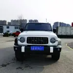 Tank Tank 300 2023 из Китая