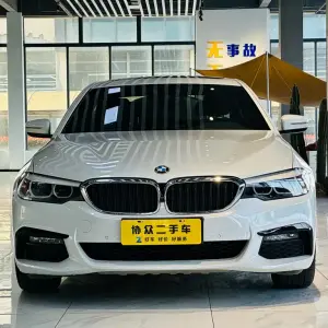 BMW 5 Series 2019 из Китая