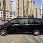 Mercedes-Benz Vito 2021 из Китая