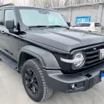 Tank Tank 300 2022 из Китая