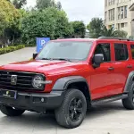 Tank Tank 300 2022 из Китая