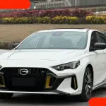 GAC Motor Shadow Leopard 2022 177 л.с. 177 л.с. из Китая