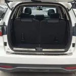 BYD MAX 2019 из Китая