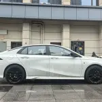 GAC Motor Shadow Leopard 2023 из Китая
