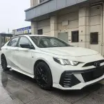 GAC Motor Shadow Leopard 2023 из Китая