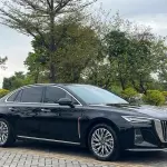 Hongqi Hongqi H5 2023 из Китая