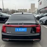 Hongqi Hongqi H9 2021 из Китая