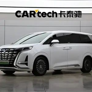 Denza Denza D9 2024 из Китая