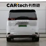 Denza Denza D9 2024 из Китая