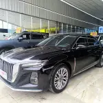 Hongqi Hongqi H5 2023 из Китая