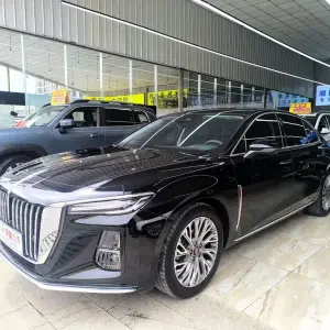 Hongqi Hongqi H5 2023 из Китая