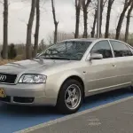 Audi A6 2004 из Китая