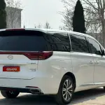 GAC Motor Trumpchi M8 2020 из Китая