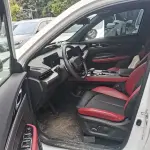 Oshan Oushang Z6 2024 из Китая