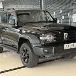 Tank Tank 300 2022 из Китая